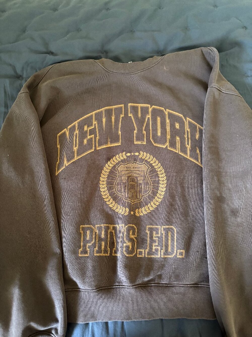 H&M Y2K Style New York Phys Ed Graphic Crewneck Sweatshirt Brown Oversized XL
